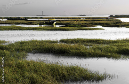 marshland at the thames estuary