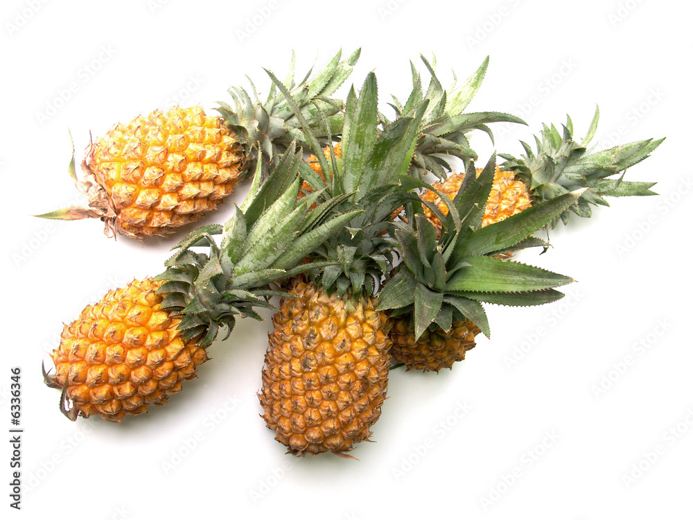 Fototapeta premium ananas 