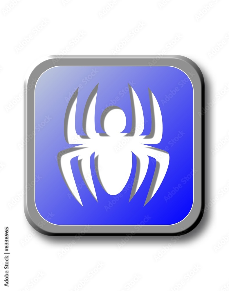 spider spider