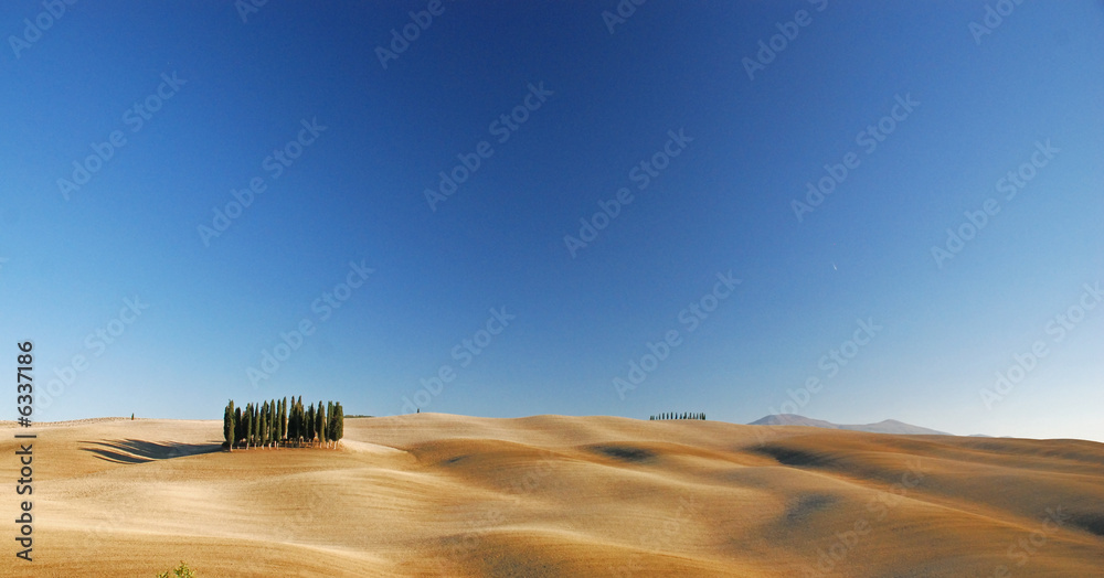 Obraz premium Tuscany