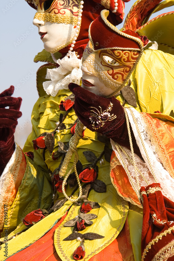 Obraz premium Venetian carnival costume