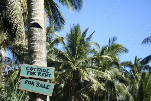 cottage for rent for sale sign © simon gurney