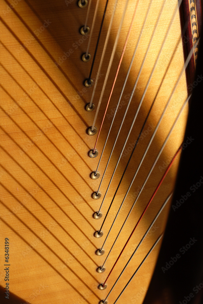 Obraz premium cordes de harpe