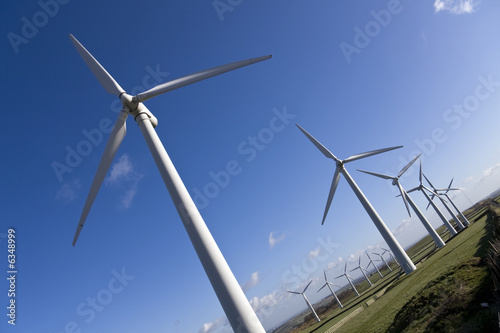 Royd Moor windfarm in Yorkshire photo