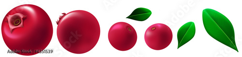 Принти на полотні cowberry