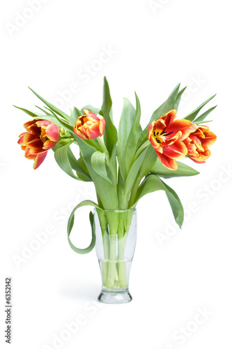 Wallpaper Mural red tulips in vase Torontodigital.ca