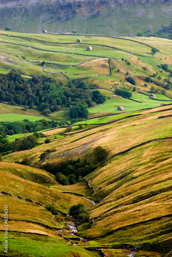 Walls and barns in Swaledale, Yorkshire Dales