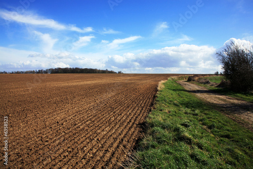 Fields in Le Nord photo