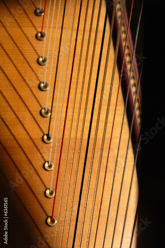 harpe (détail) photo