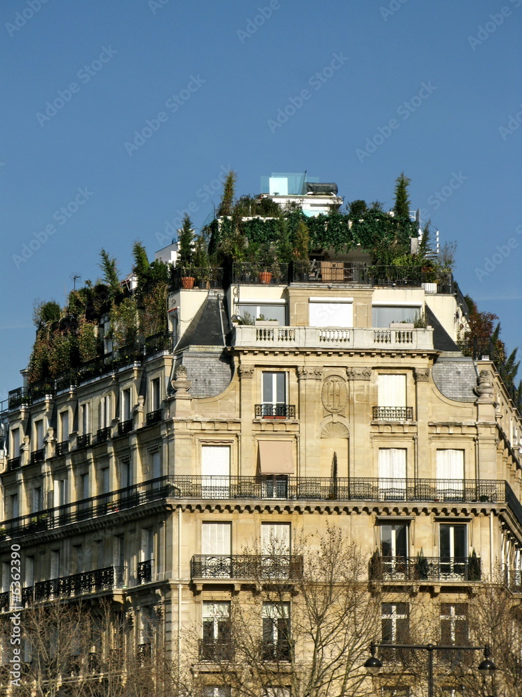 Terrasses arborées au dernier étage d'un immeuble, Paris