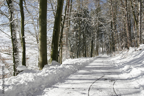 Winterland
