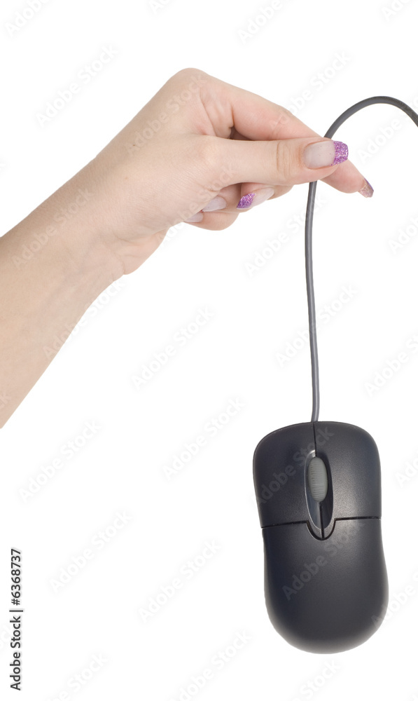 mouse in hand isolated over white background mouse in hand isolated over white background