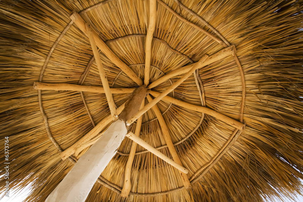 View from under a palapa, on a beach resort.