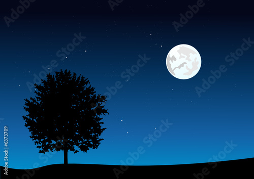 moonlight landscape. vector illustration