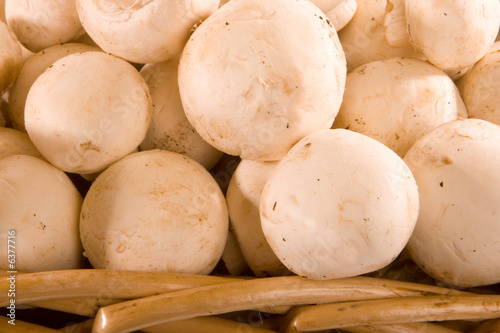 Tableau sur toile Close up of Button Mushrooms in Basket