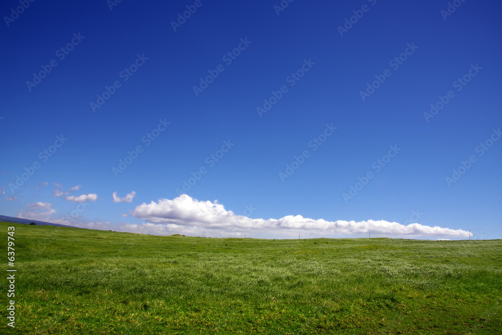 Background of cloudy sky and grass hill