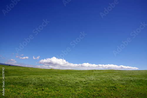 Background of cloudy sky and grass hill