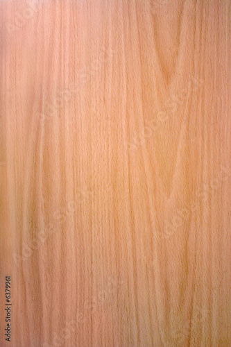 Wood texture. It can be used as backround.