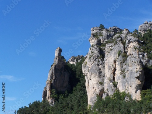 paysage