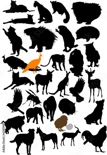 Vector animals collection