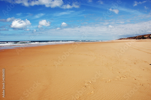 Cap ferret