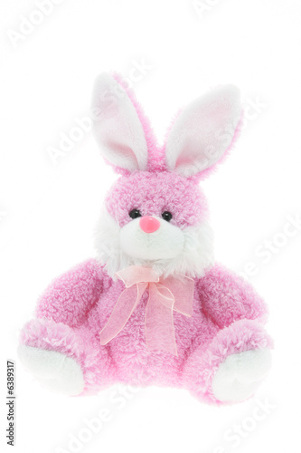 Easter Bunny on White Background