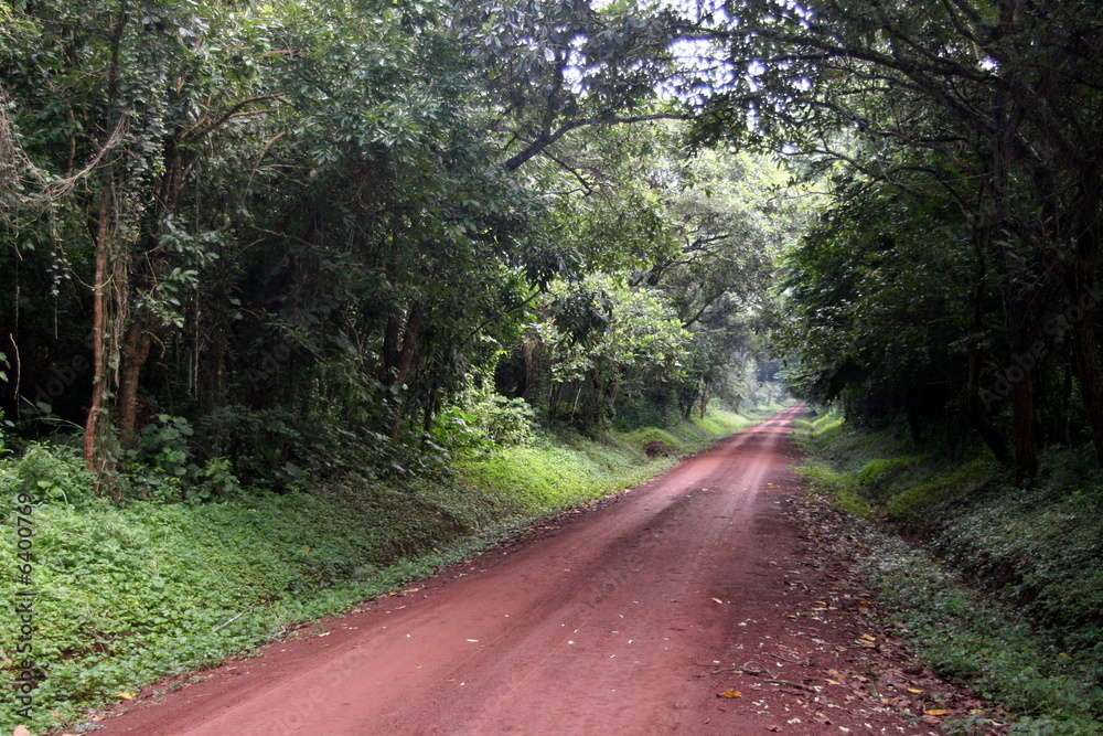 Fototapeta premium Sigue tu camino