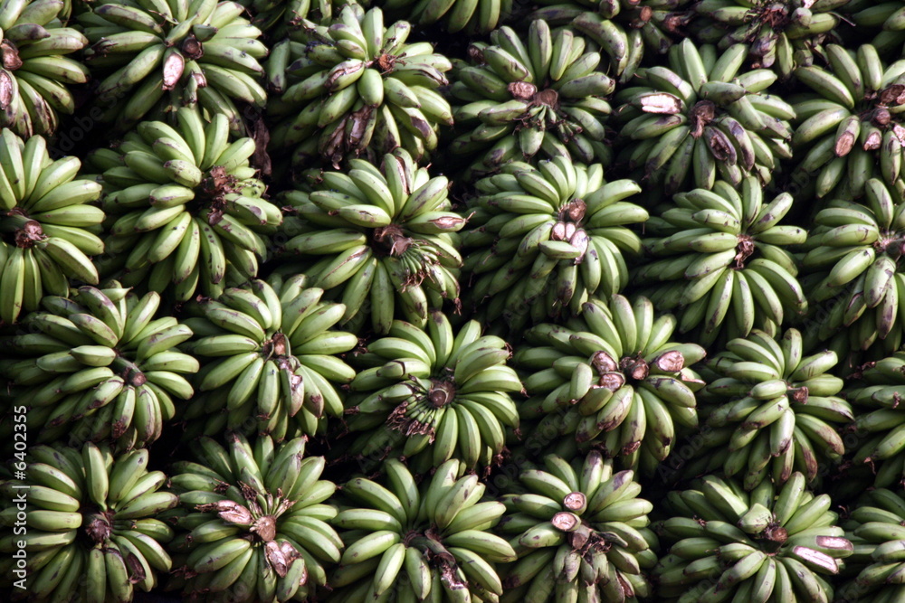 Bananas Bananas