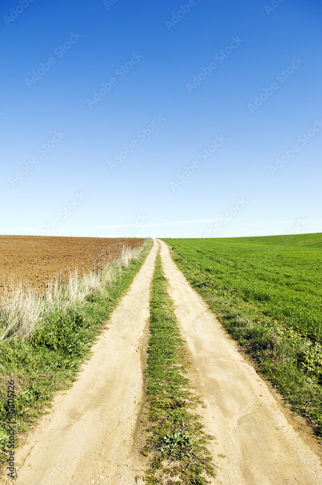 Country road in a green and brown field