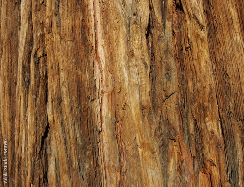 incense cedar bark macro