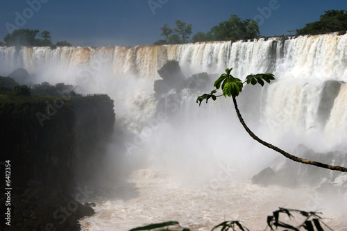Iguazu waterfall photo