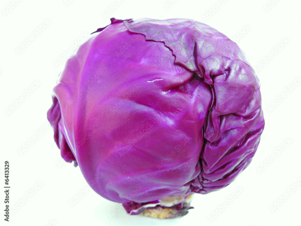 Cabbage purple isolated on white Cabbage purple isolated on white