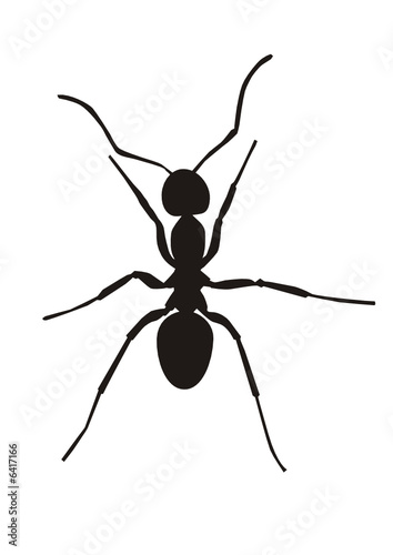 Hormiga