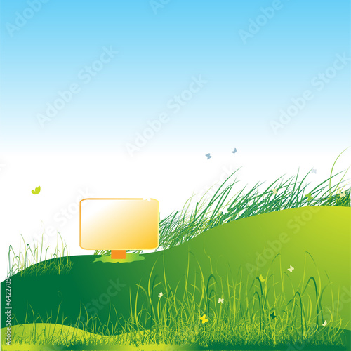 Meadow green, summer, grass and butterflies
