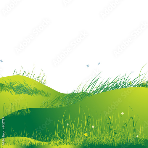 Meadow green, summer, grass and butterflies