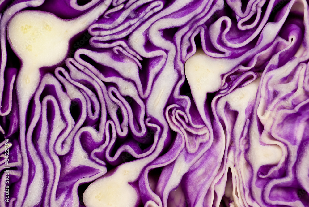 Obraz premium Close-up shot of violet cabbage (cut)