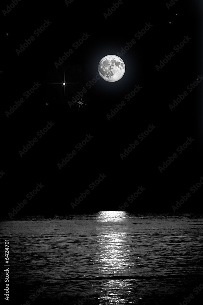 notte con luna piena - obrazy, fototapety, plakaty 