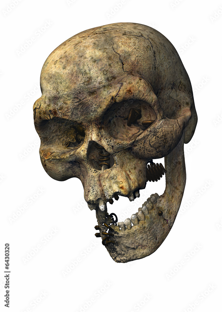pierced skull - 3d rendered illustration, isolated pierced skull - 3d rendered illustration, isolated