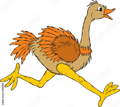 Ostrich