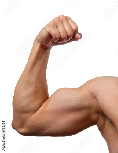 Print op canvas Close up of man's arm showing biceps