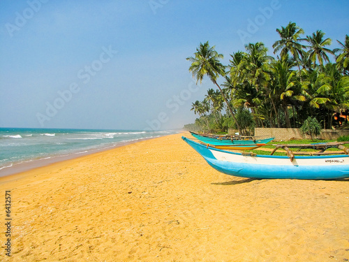 Srilanka ocean beach. Traditional fishing boats. Sri Lanka travel landscape. Srilanka landscape. Sri Lanka palms.