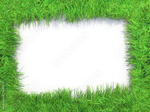 Green grass frame