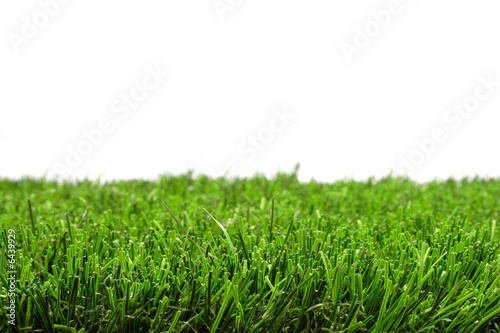grass