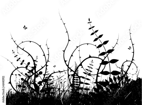 Illustration with plants. Vector