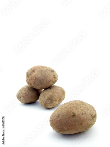 Potato