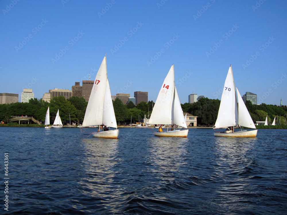 Fototapeta premium Sailboats on the river