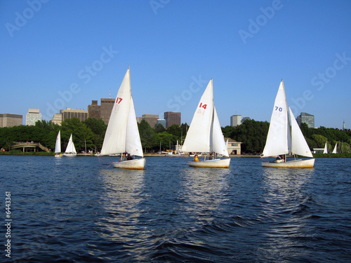 Sailboats on the river