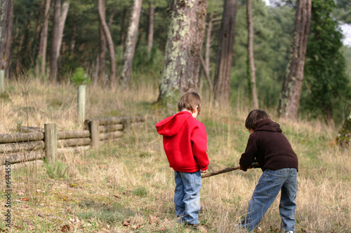 enfants entrain de jouer dans les bois avec un bâton