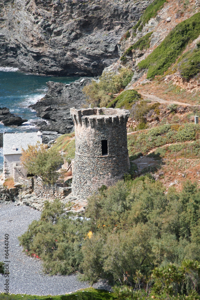 Fototapeta premium Une des tours génoises de Corse