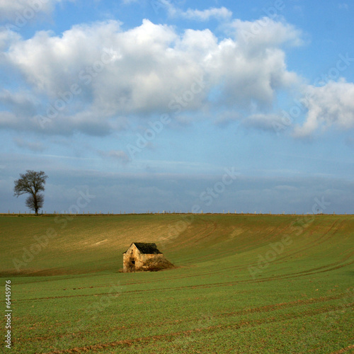 Photos cabane et champs